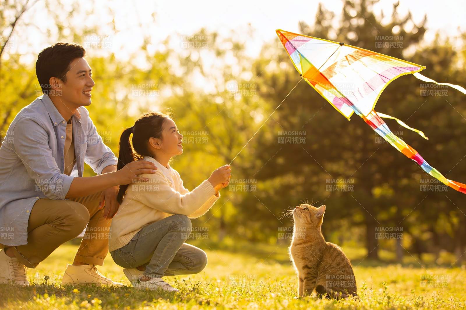 父女放风筝猫咪仰望图片