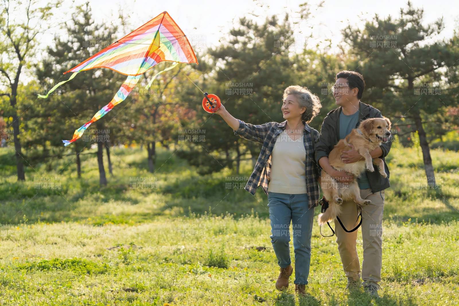 公园放风筝遛狗欢乐时光图片