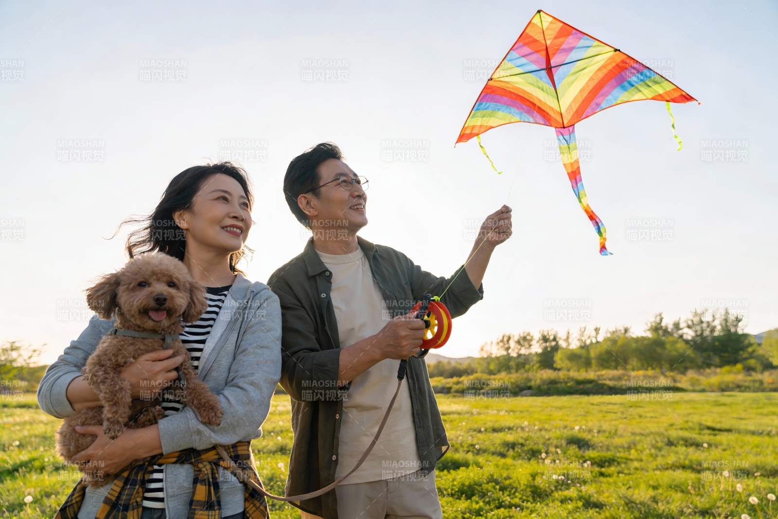 夫妻户外放风筝与宠物狗图片