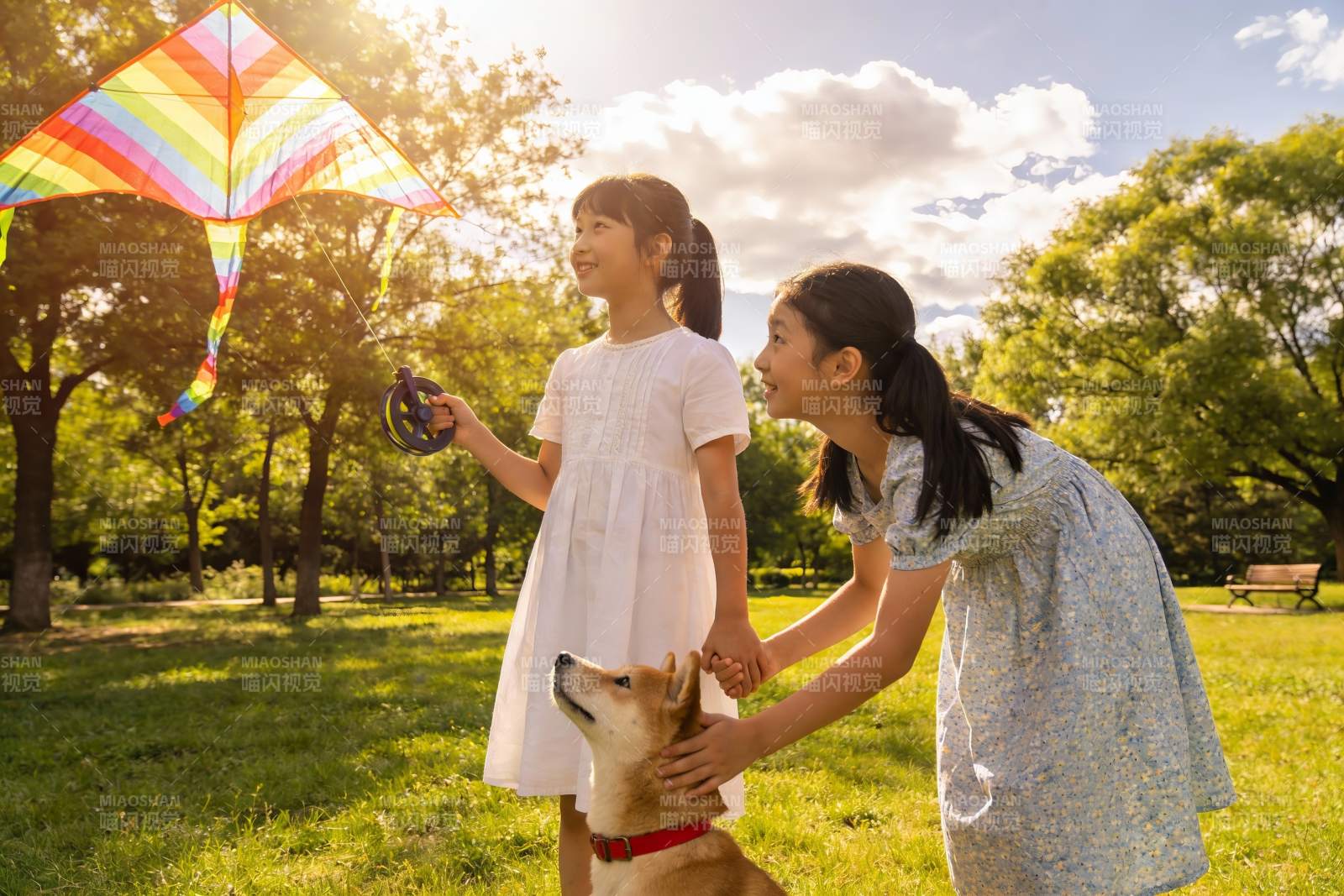 姐妹放风筝与宠物狗户外欢乐图片