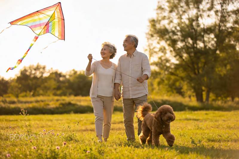 老年夫妇放风筝遛狗图片