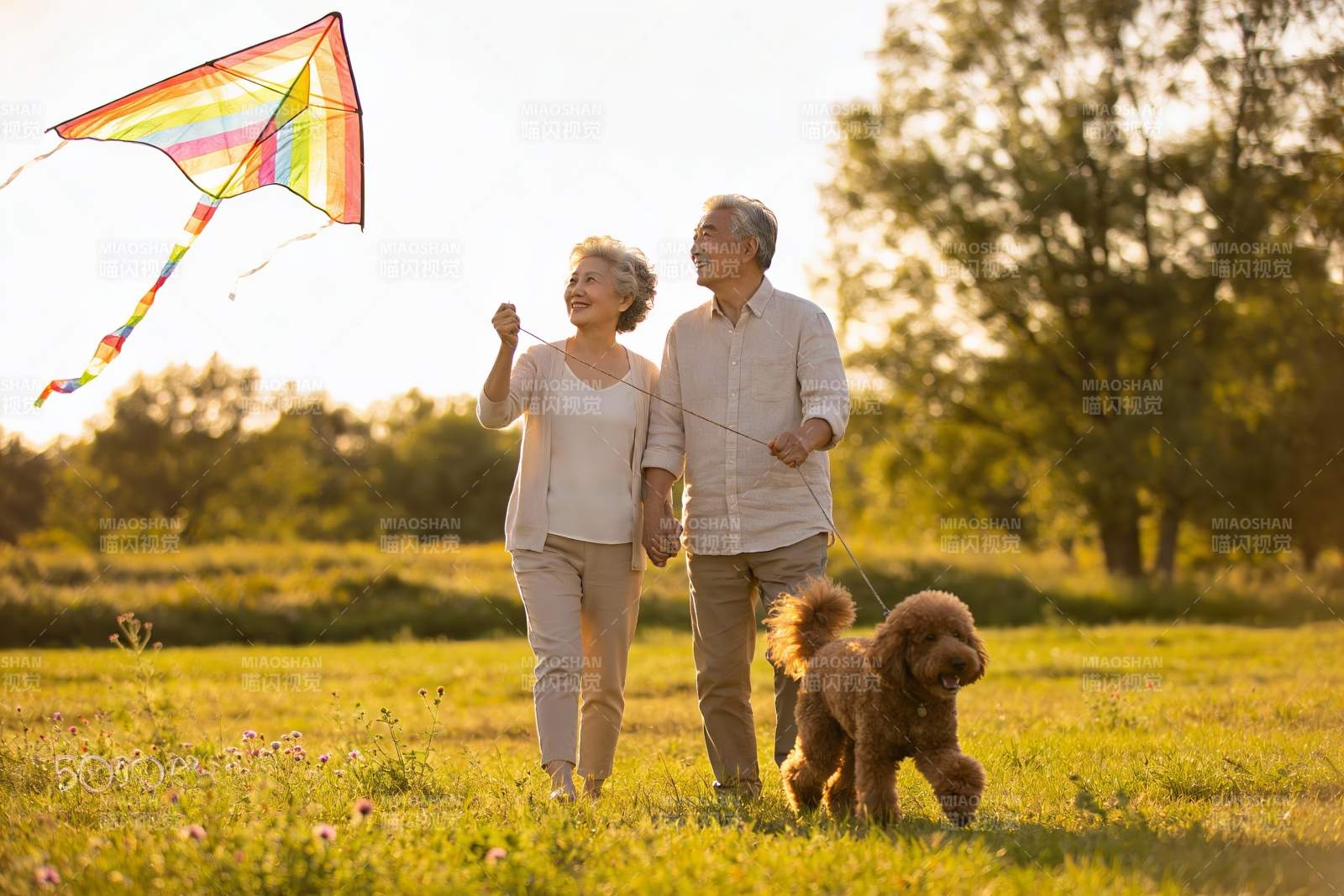 老年夫妇放风筝遛狗图片