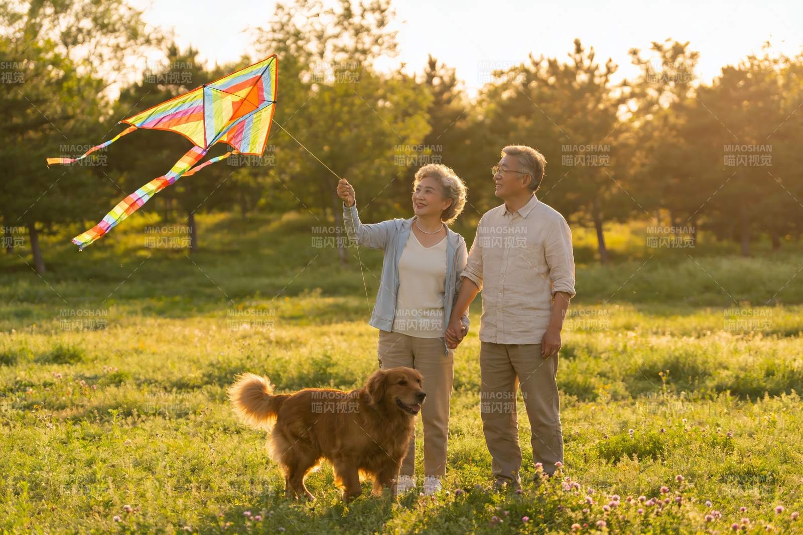 老年夫妇公园放风筝与宠物狗图片