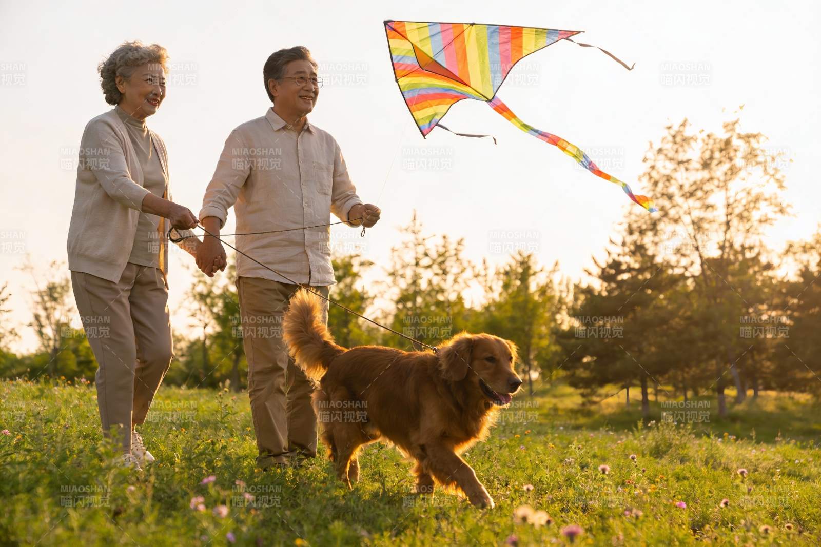 老年夫妇放风筝遛狗图片