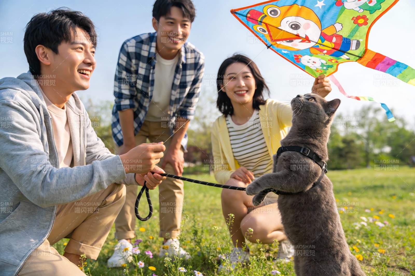 三人一猫放风筝欢乐时光图片