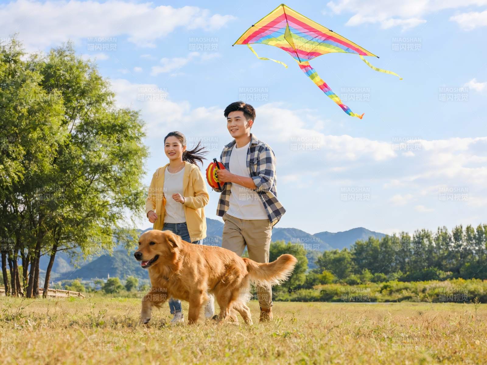 情侣草地放风筝遛狗图片