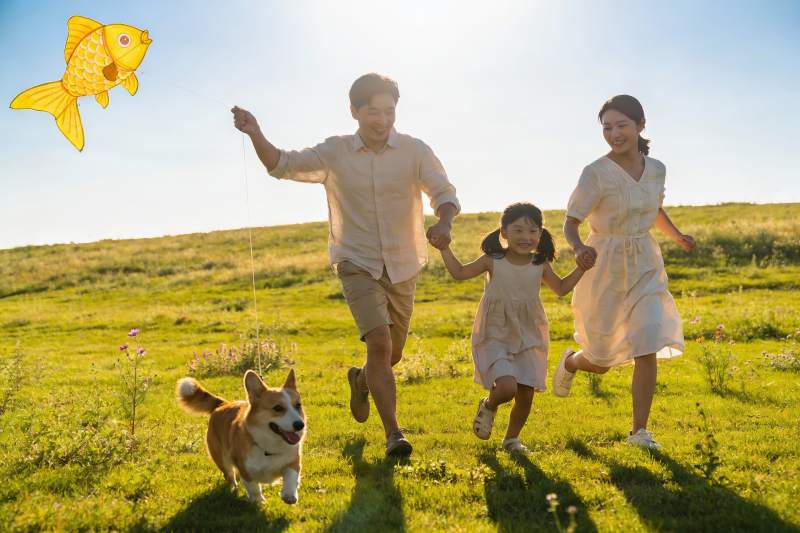 一家三口户外放风筝与宠物狗图片