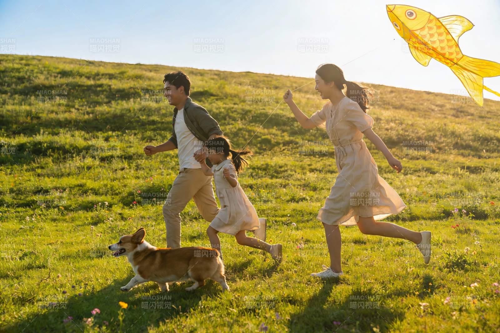 一家三口草地上放风筝图片