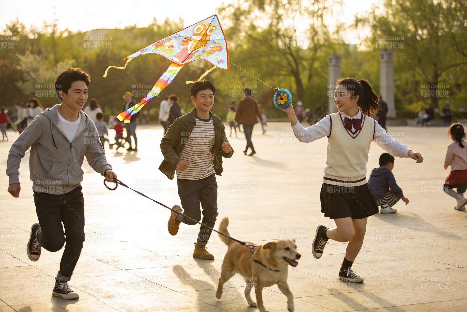 三人在公园放风筝遛狗图片