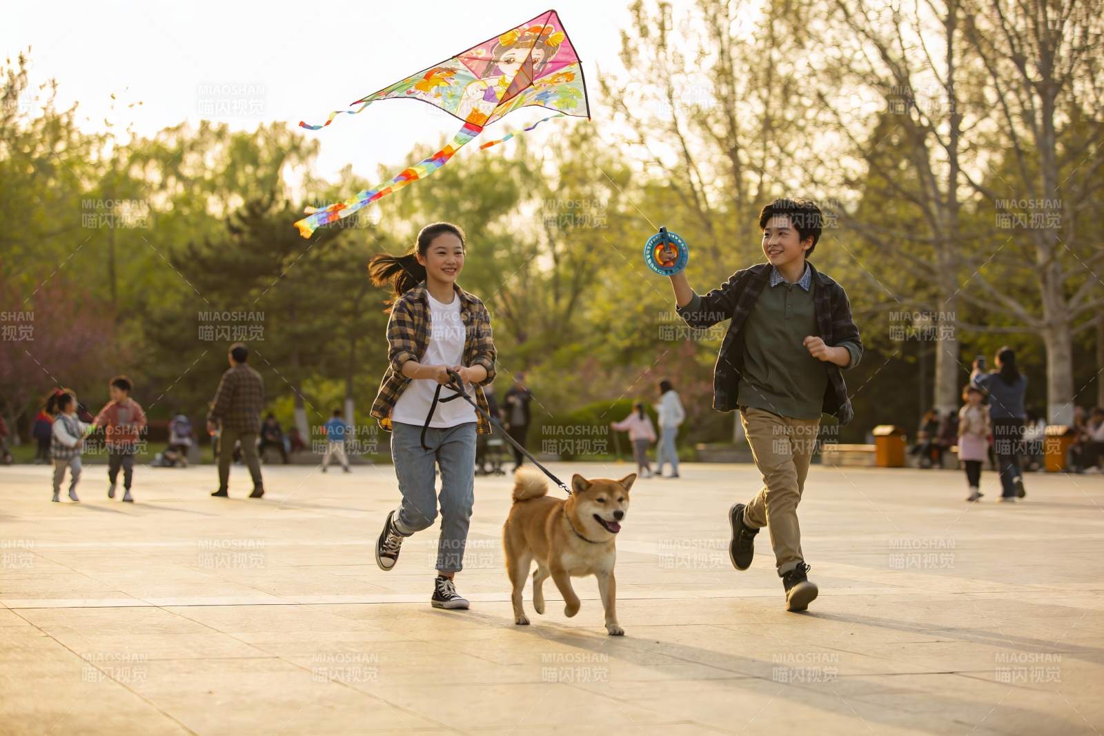 公园放风筝遛狗欢乐场景图片