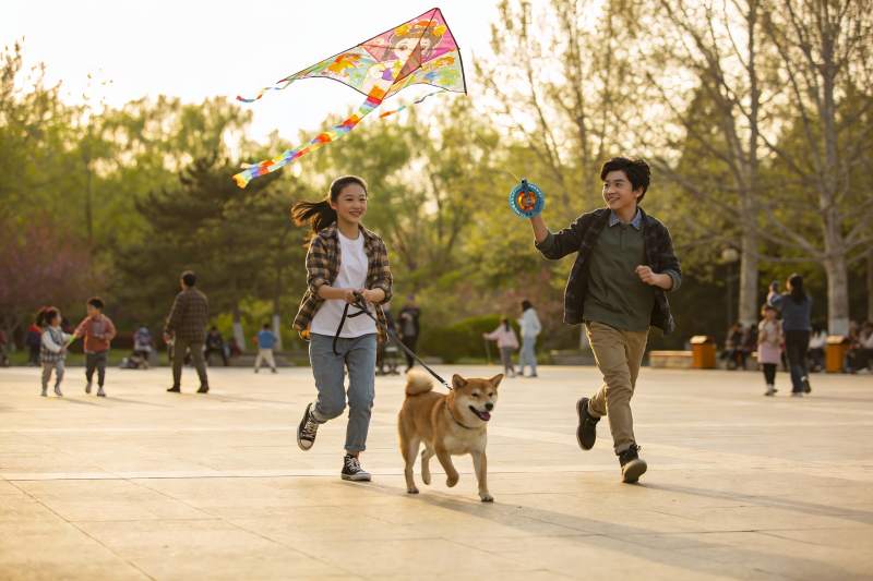 公园放风筝遛狗欢乐场景图片