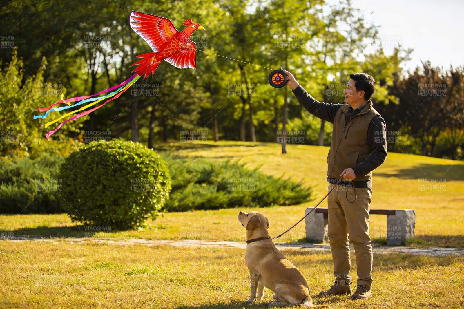 男子公园放飞凤凰风筝与狗相伴图片