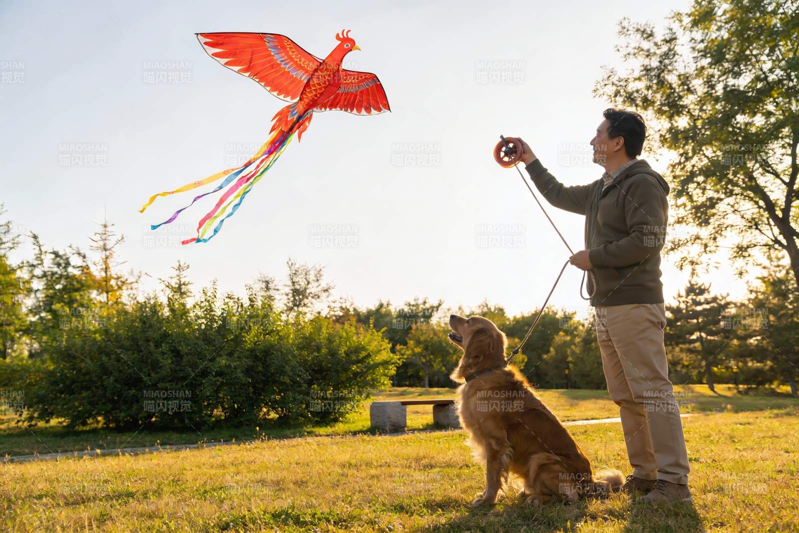 男子公园放飞凤凰风筝与狗相伴图片