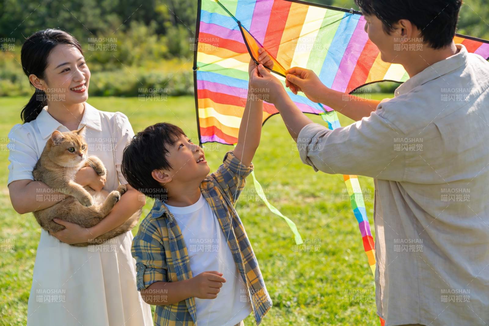 家庭户外放风筝与宠物猫图片