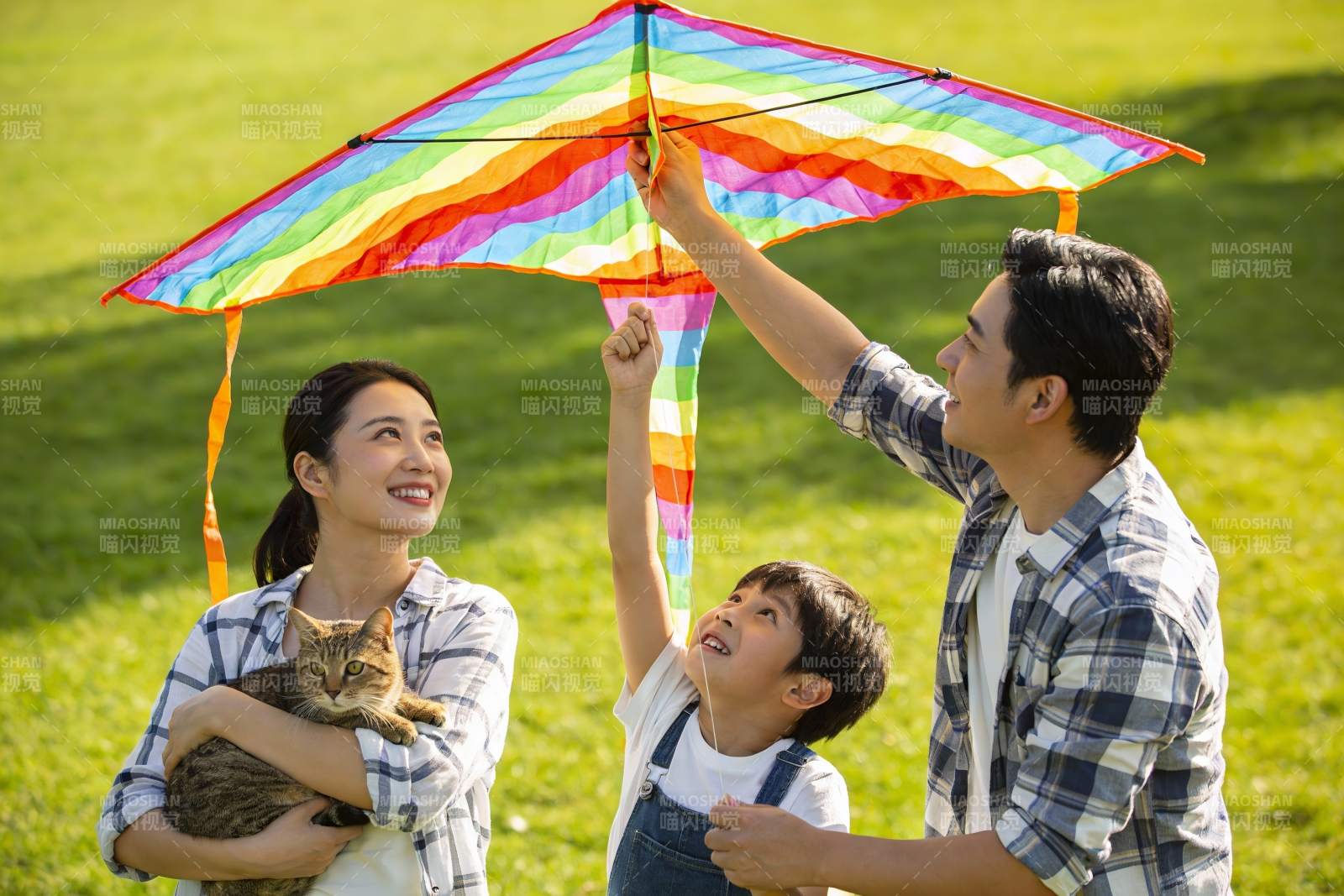 家庭草地上放风筝与宠物图片