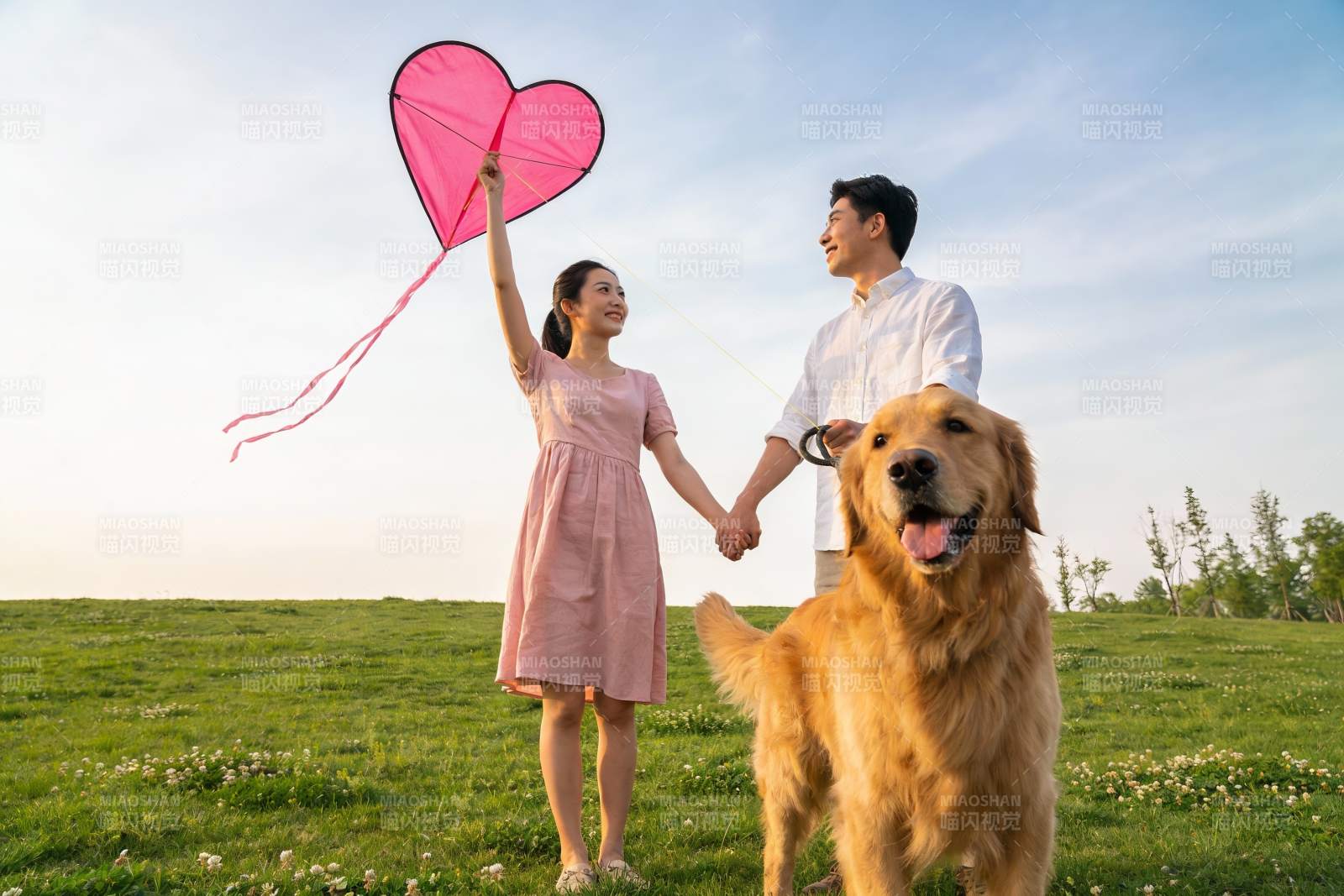 情侣草地放风筝与金毛犬图片