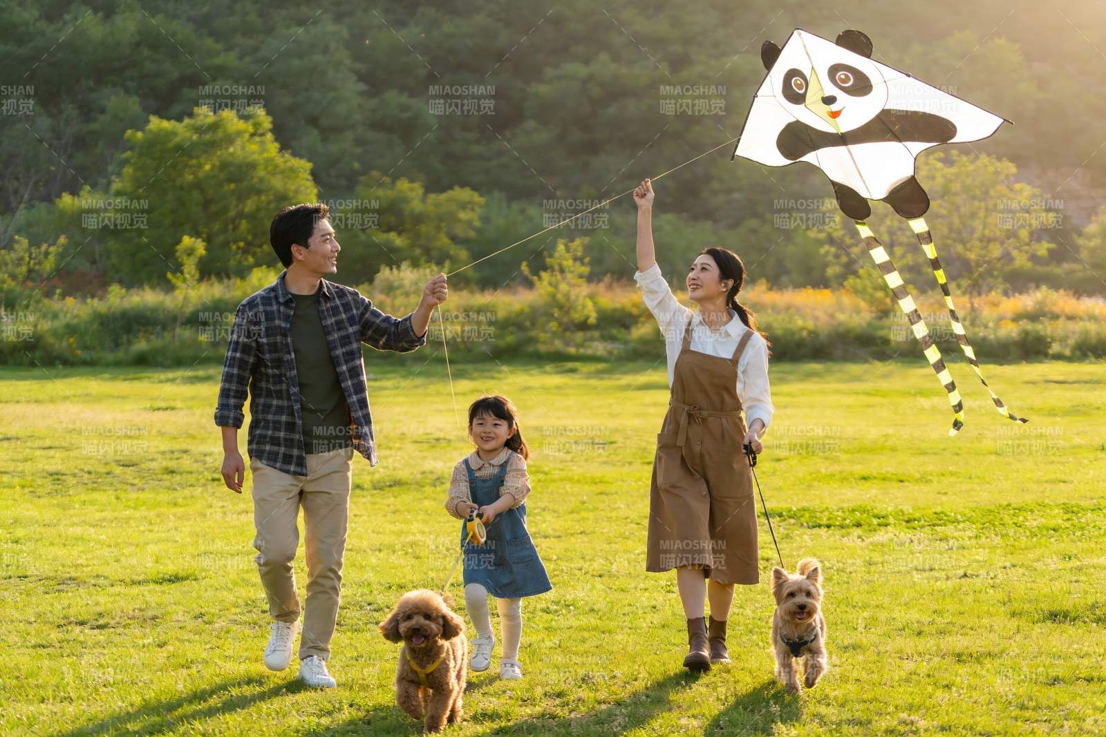 一家三口户外放风筝与宠物同行图片