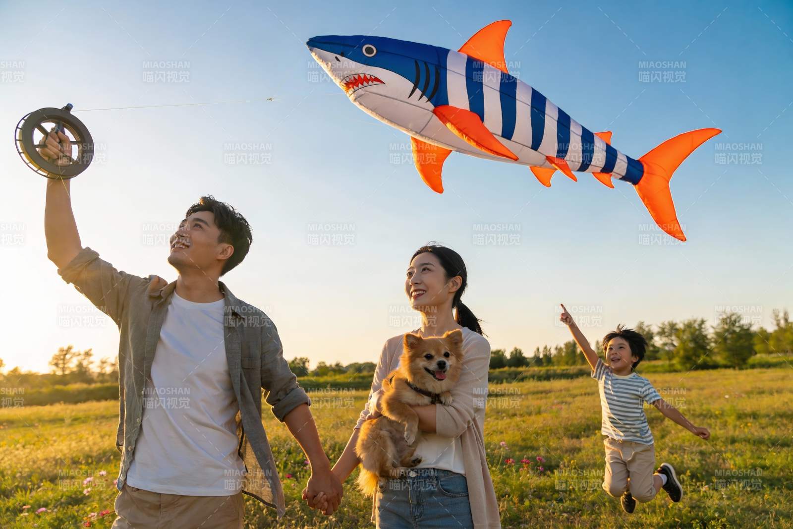 一家三口户外放风筝与宠物图片