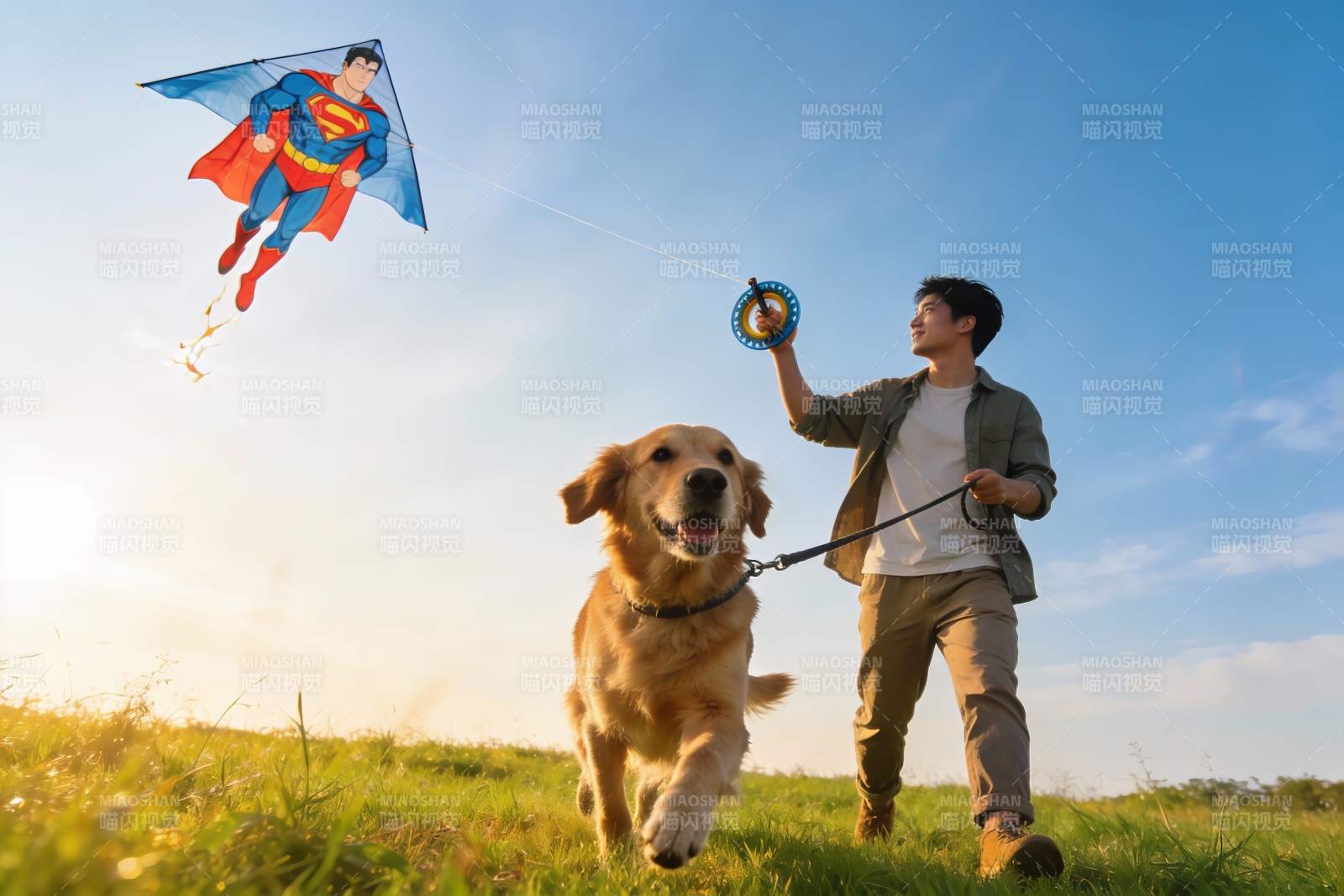 男子与金毛犬放飞超人风筝图片