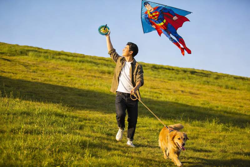 男子草地放飞超人风筝与狗同行图片
