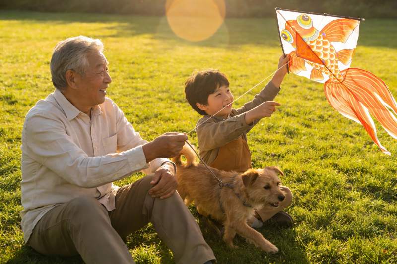 爷孙放风筝草地欢乐时光图片