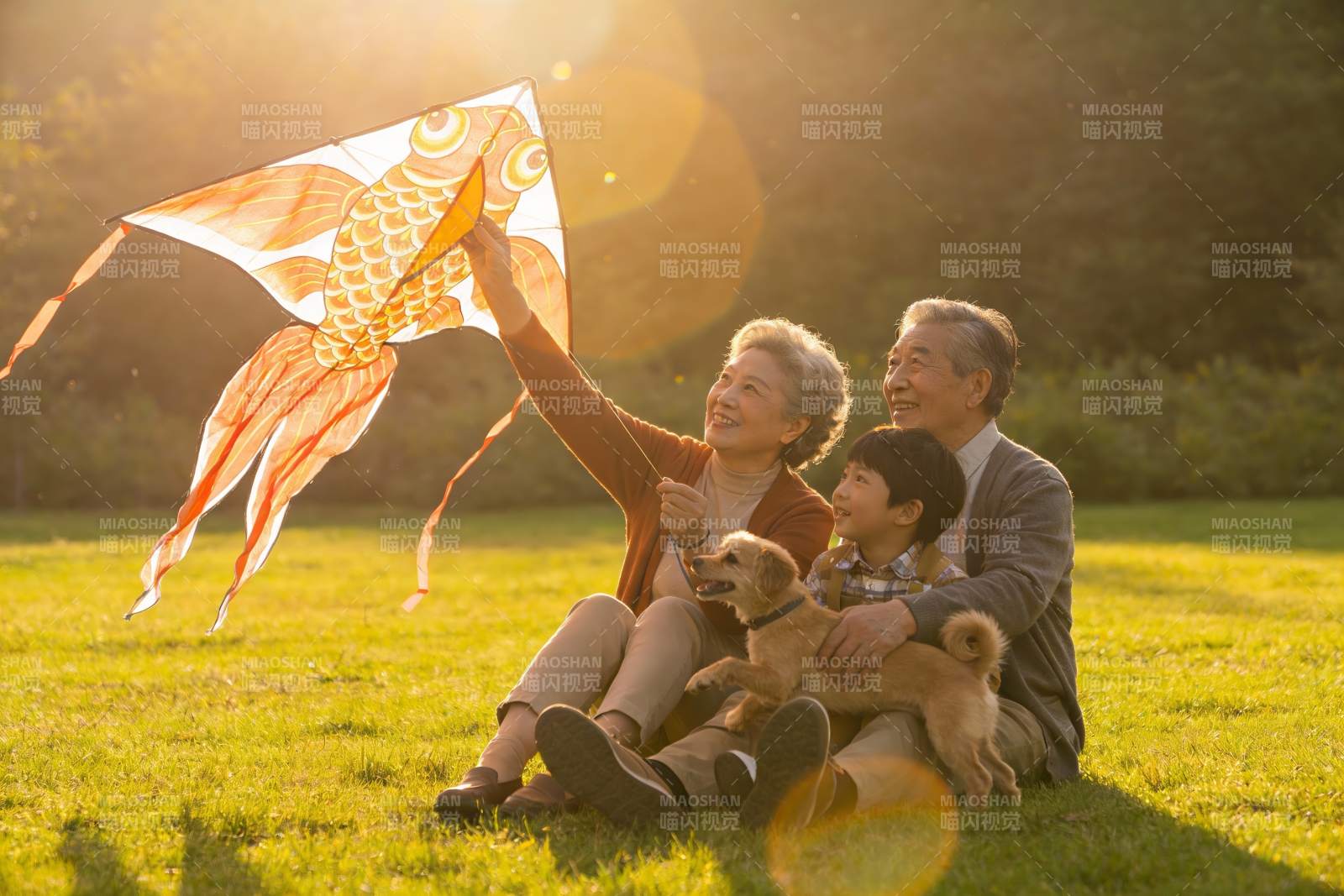 三代同堂草地上放风筝图片