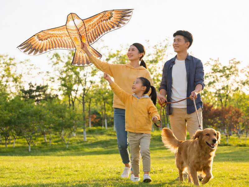 一家三口公园放风筝与宠物狗图片