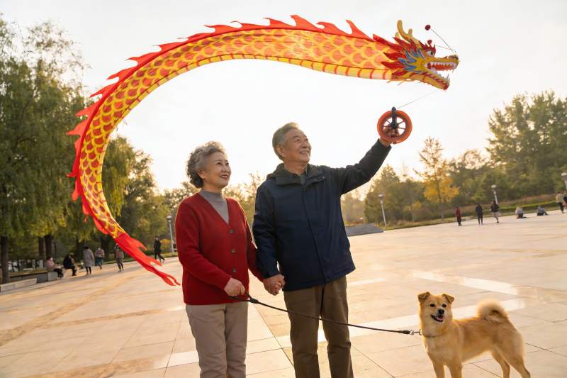 老年夫妇公园放龙风筝遛狗图片
