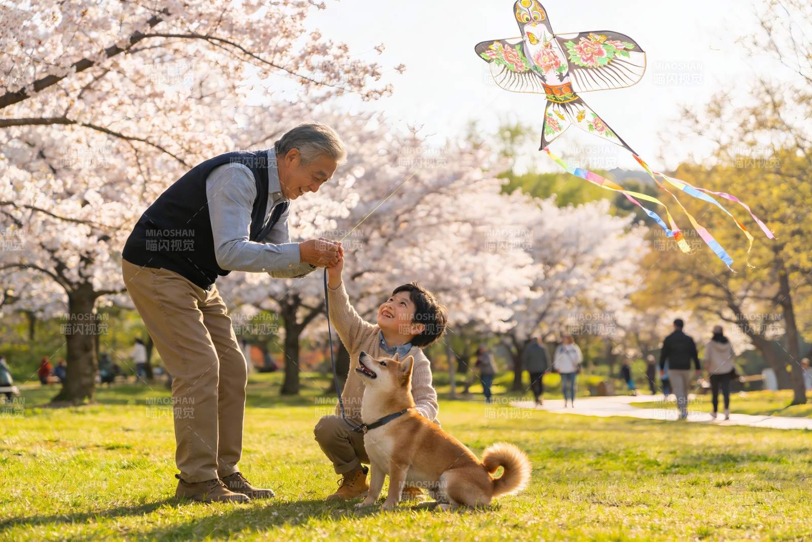 祖孙放风筝赏樱花图片