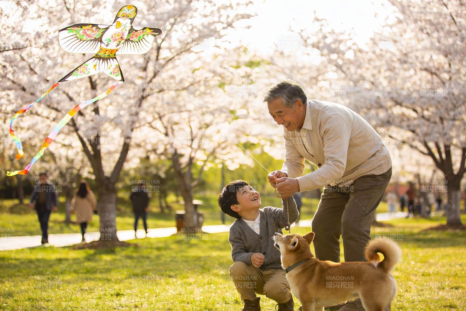 祖孙放风筝赏樱花图片