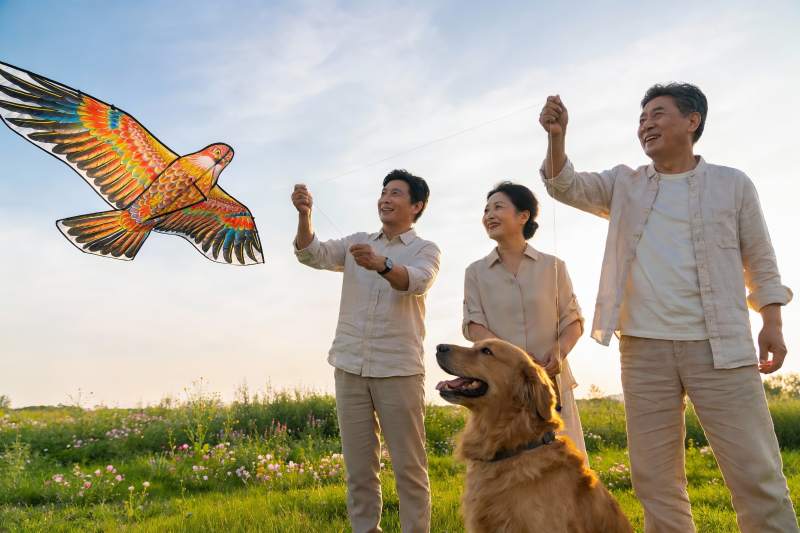 三人在户外放风筝与狗相伴图片