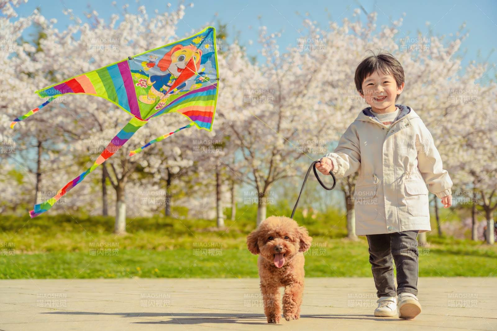 春日公园放风筝遛狗图片