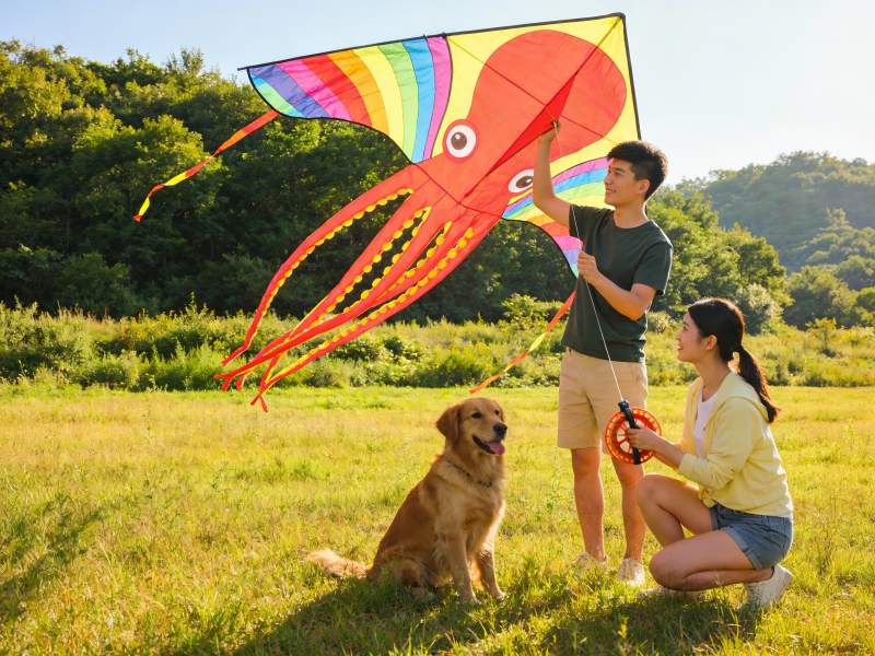 情侣草地放风筝狗狗陪伴图片