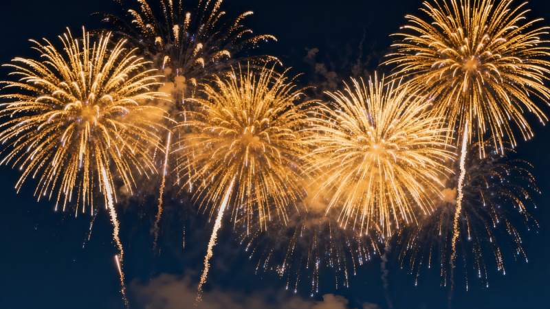 夜空烟花绽放绚丽景象图片