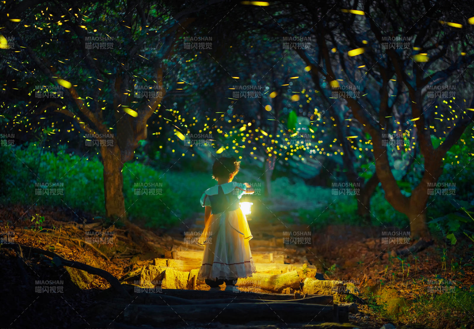 夏日森林的萤火虫与小女孩图片