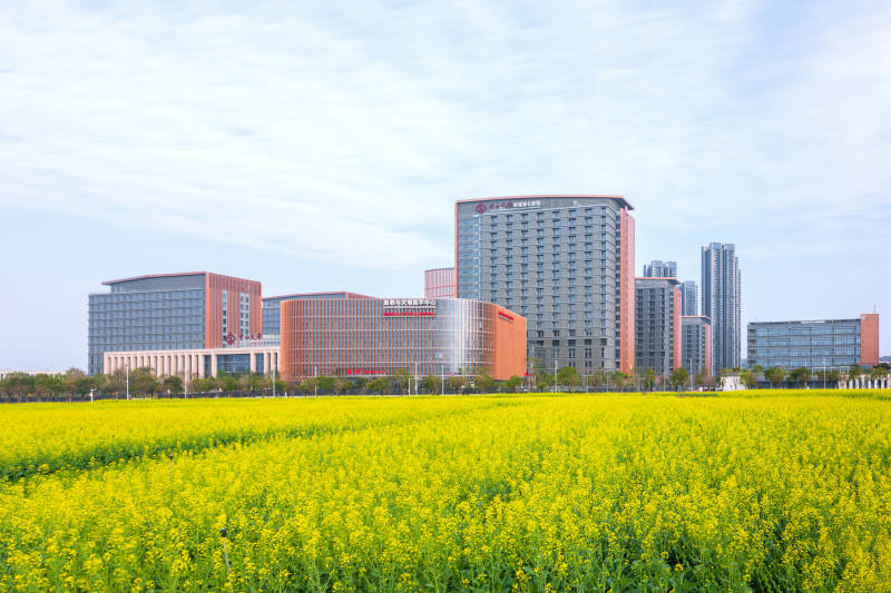 春天的城市建筑与油菜花花海图片