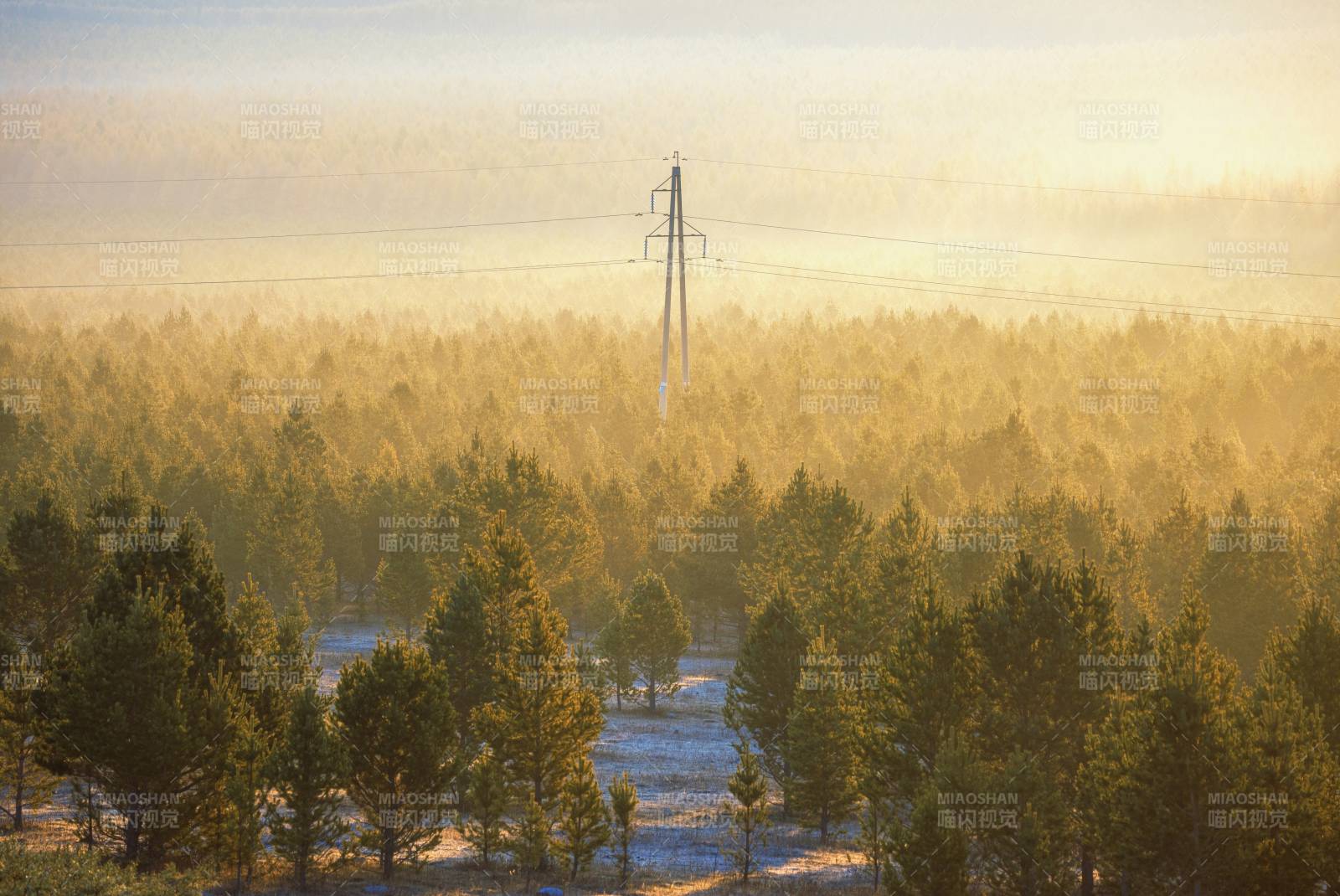 秋日的晨雾森林与电塔图片