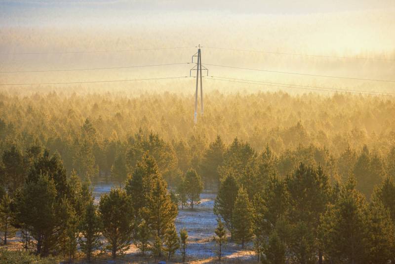 秋日的晨雾森林与电塔图片
