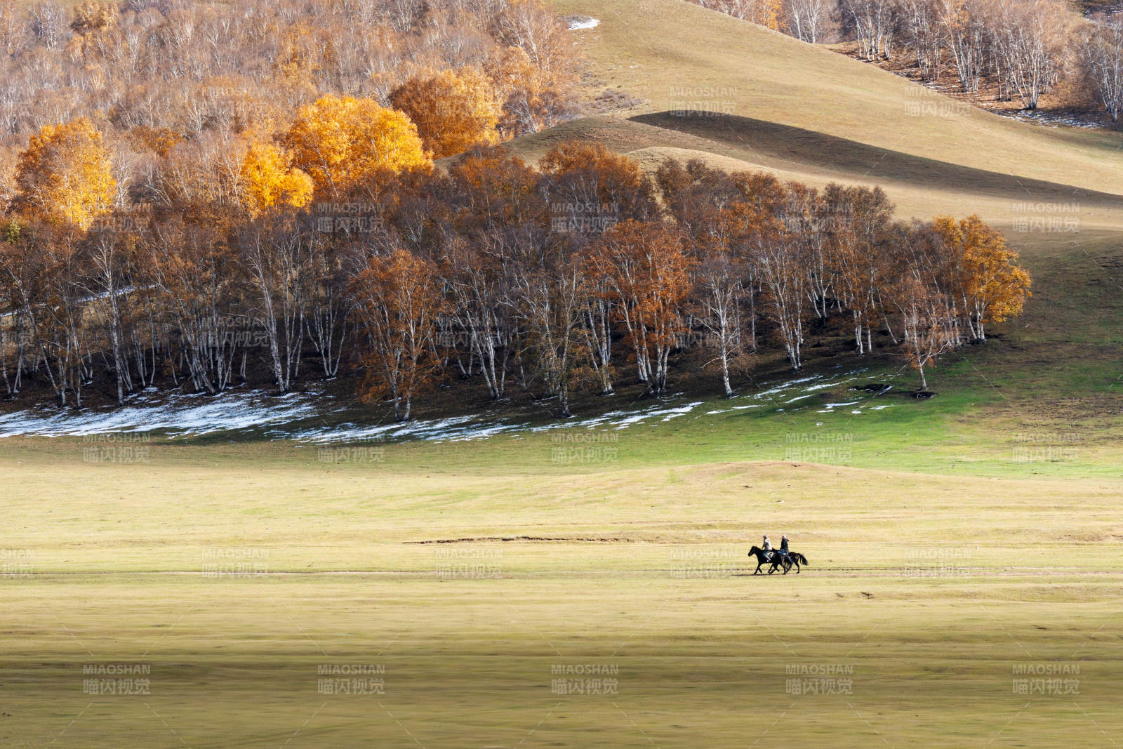 秋日草原骑马图片