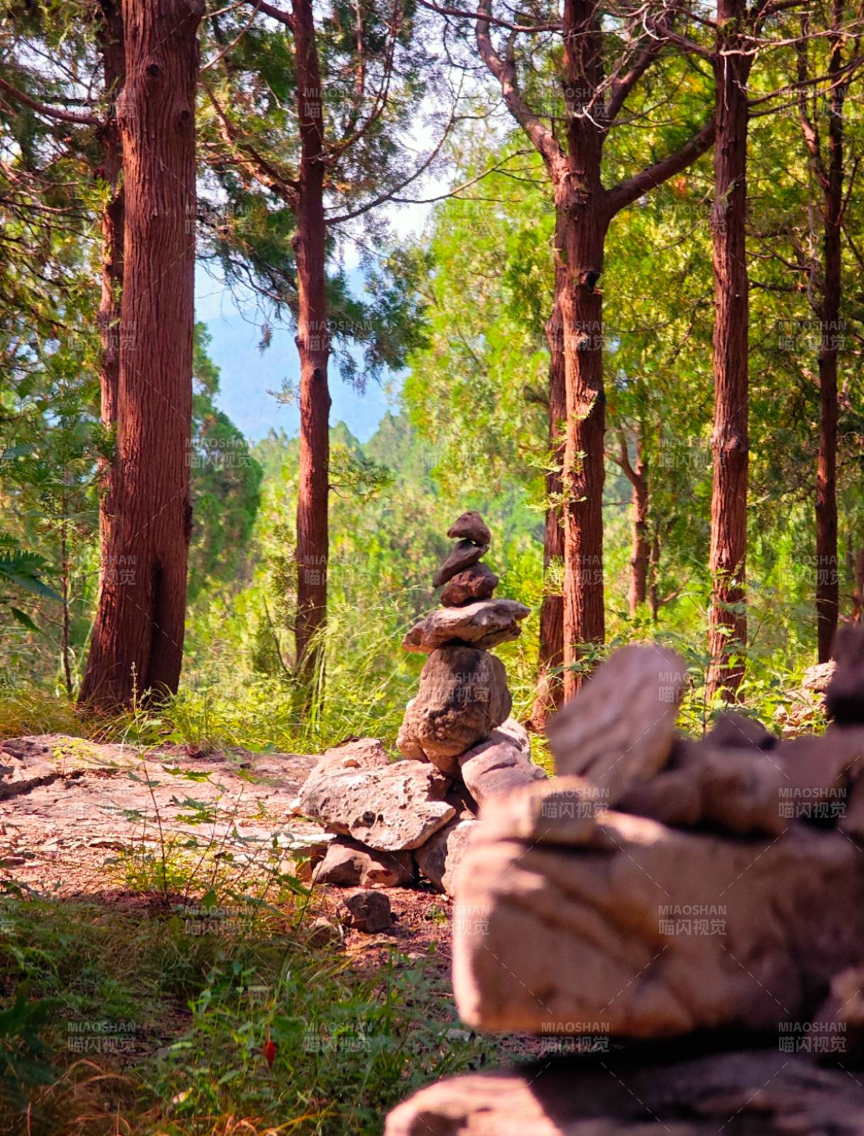 林间石塔静谧景图片