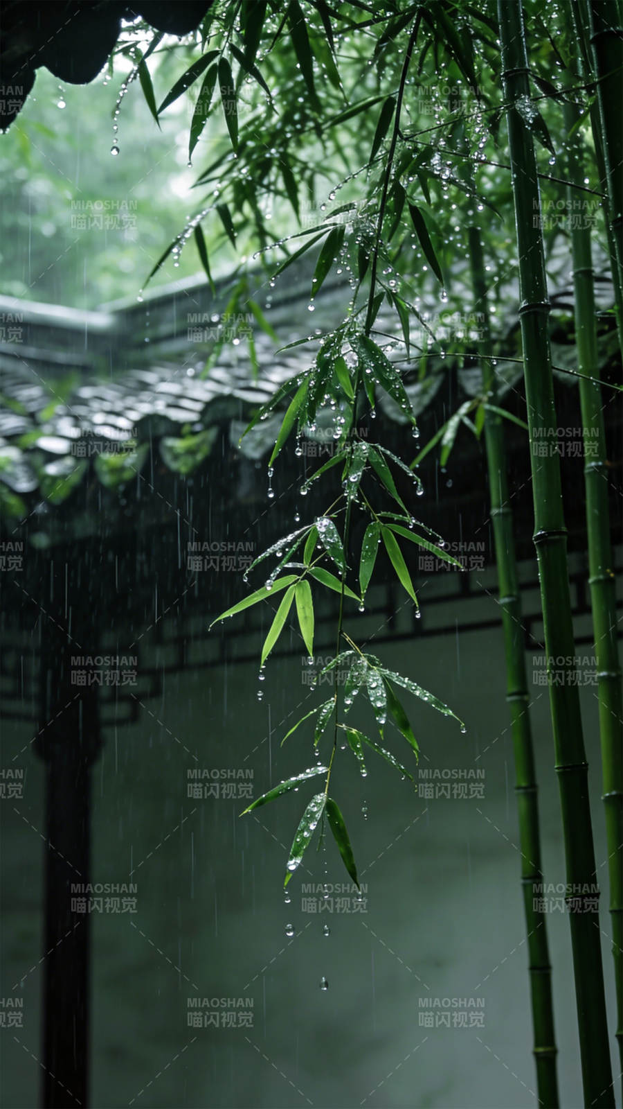 雨中竹影图片