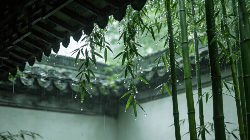 雨落竹影禅意浓图片
