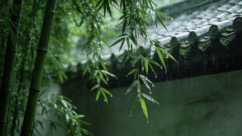 竹雨滴檐图片