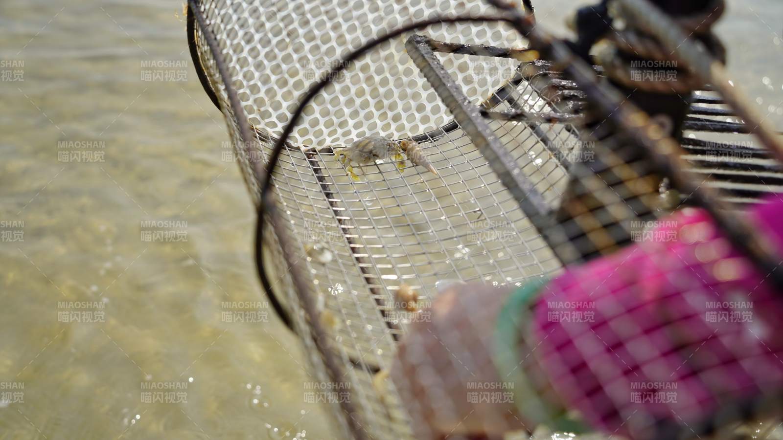 水边捕捞瞬间图片