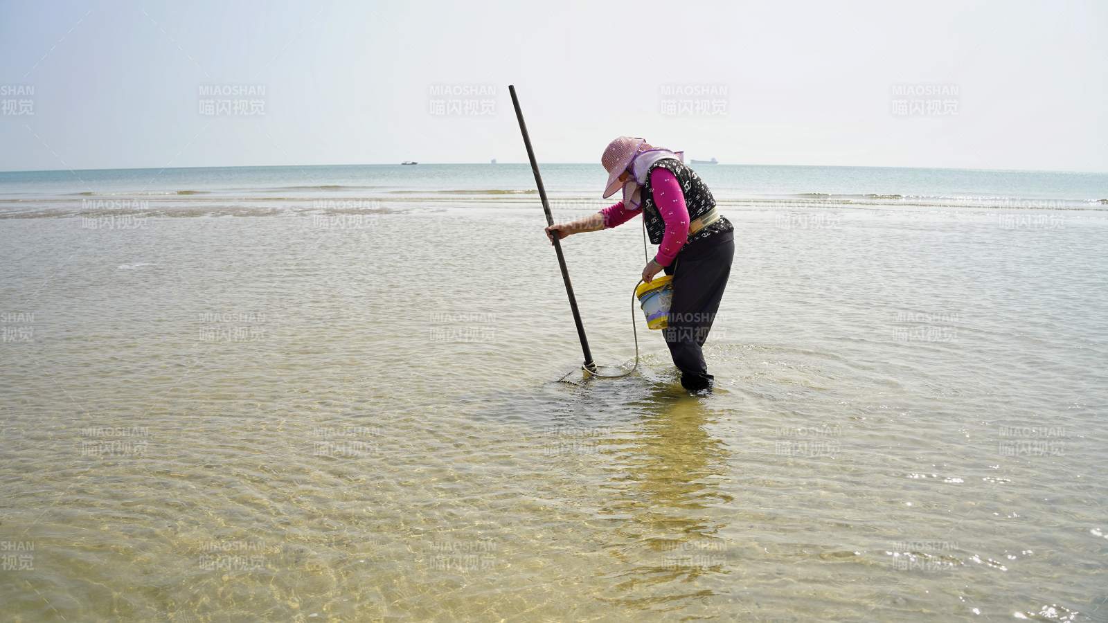 海边挖贝人图片