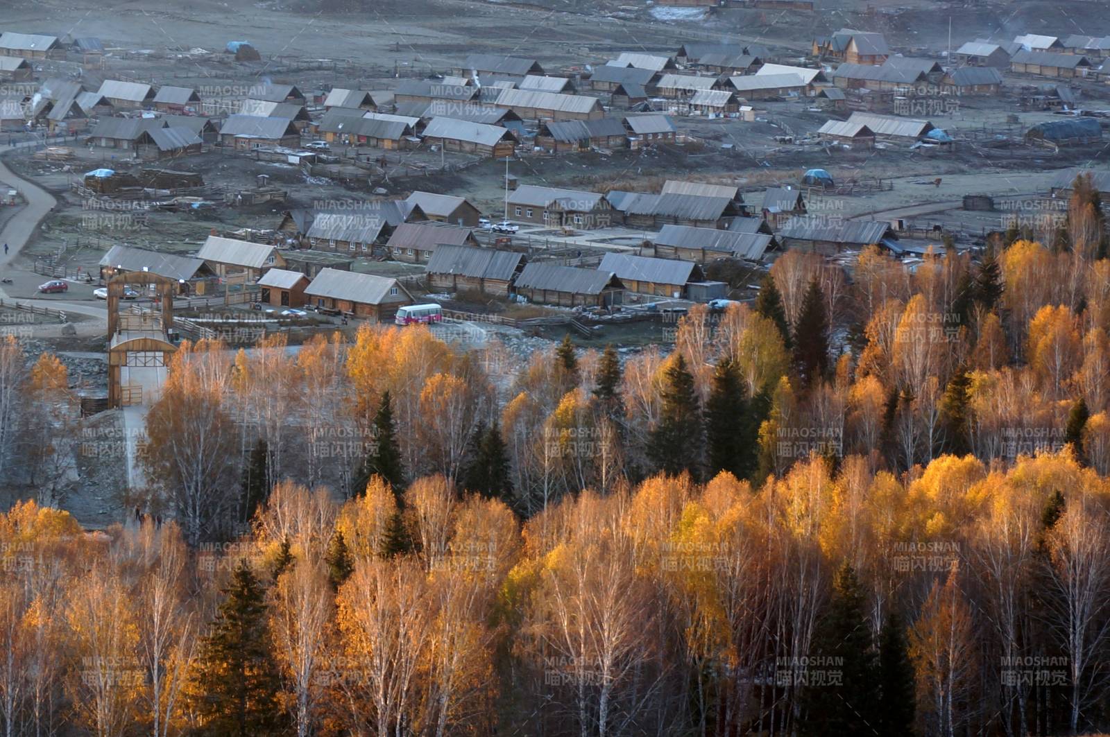 禾木秋林中的村落图片