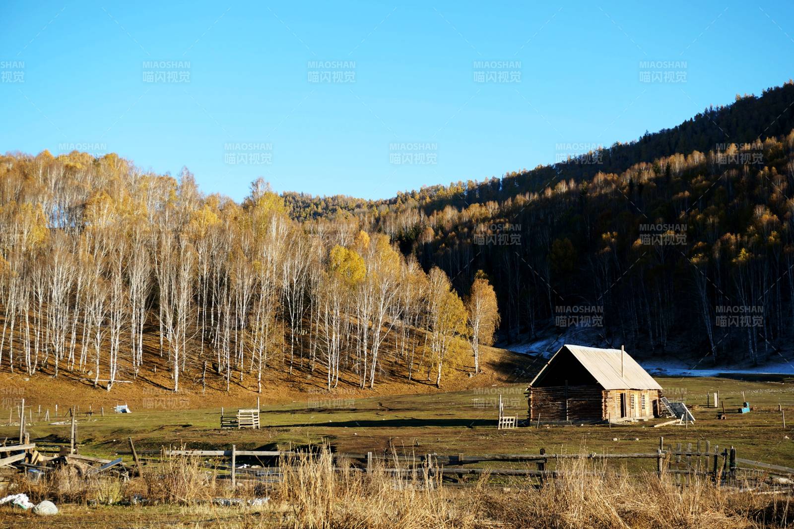 禾木秋山木屋静景图片