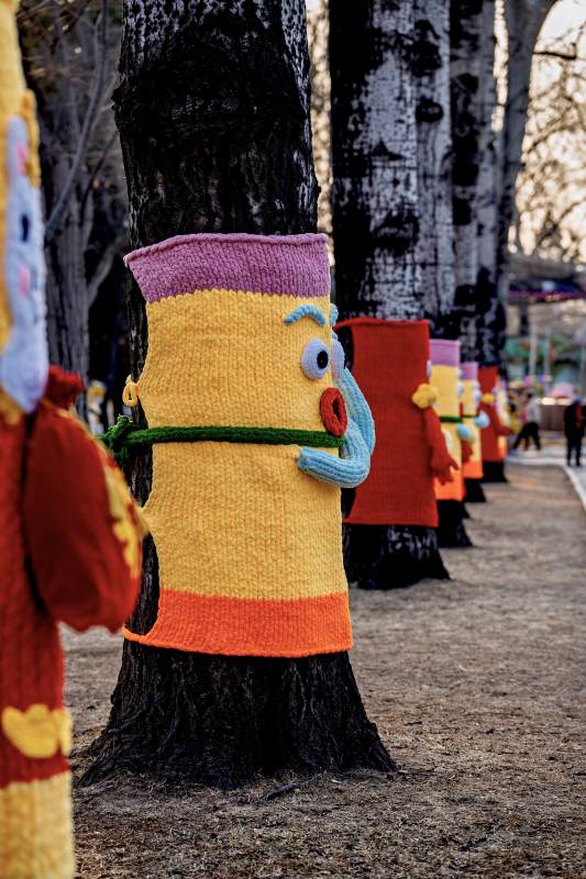 树穿彩衣迎春来图片