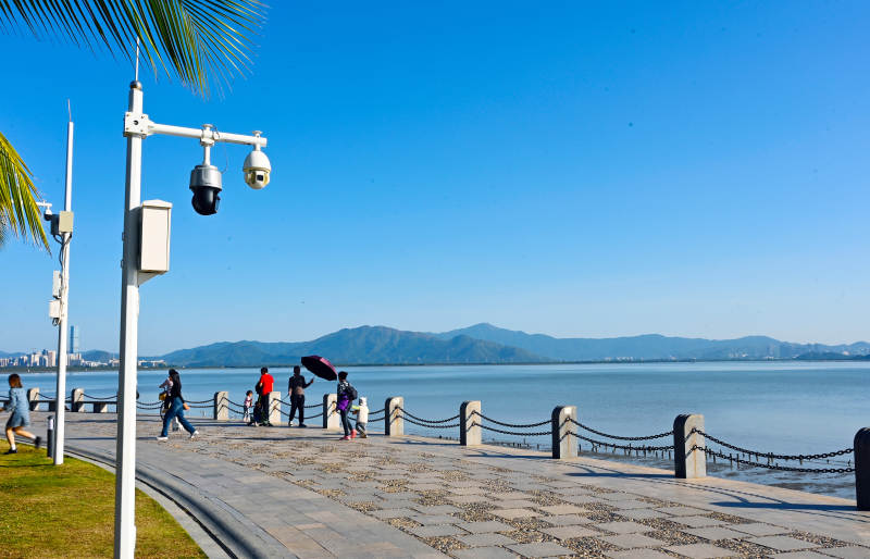 深圳湾滨海栈道上的休闲时光图片