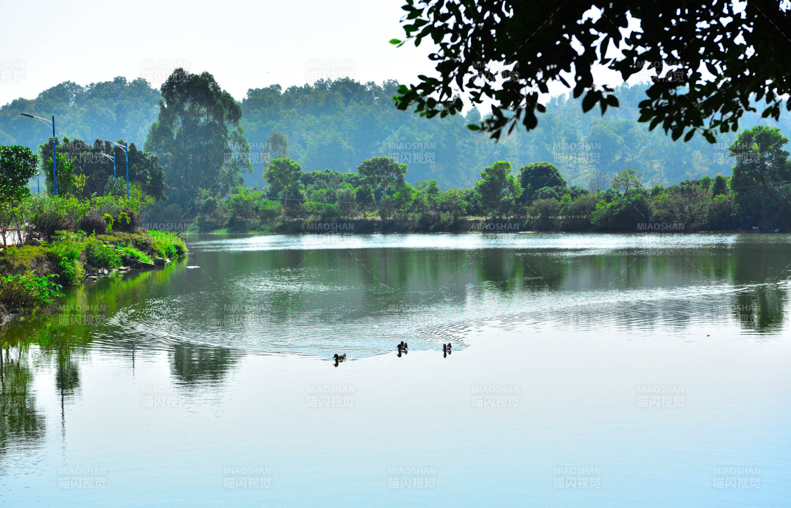 清晨乡村河畔风光图片
